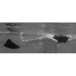 SWIMMERS BEST Power Bags Fashion